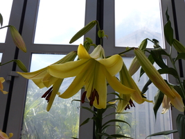 Foto: Dr. Peter Müller